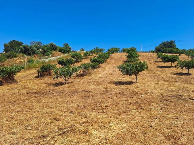 Terreno Misto para Venda em Estômbar e Parchal Foto 7