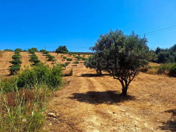 Terreno Misto para Venda em Estômbar e Parchal Foto 13