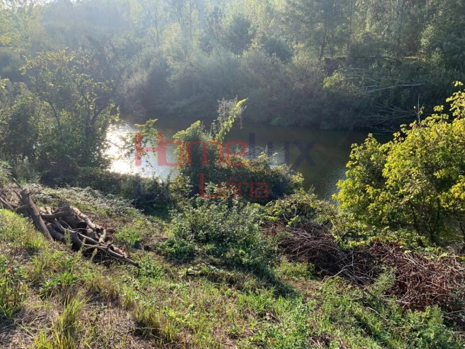 Terreno para Venda em Trofa, Segadães e Lamas do Vouga Foto 4