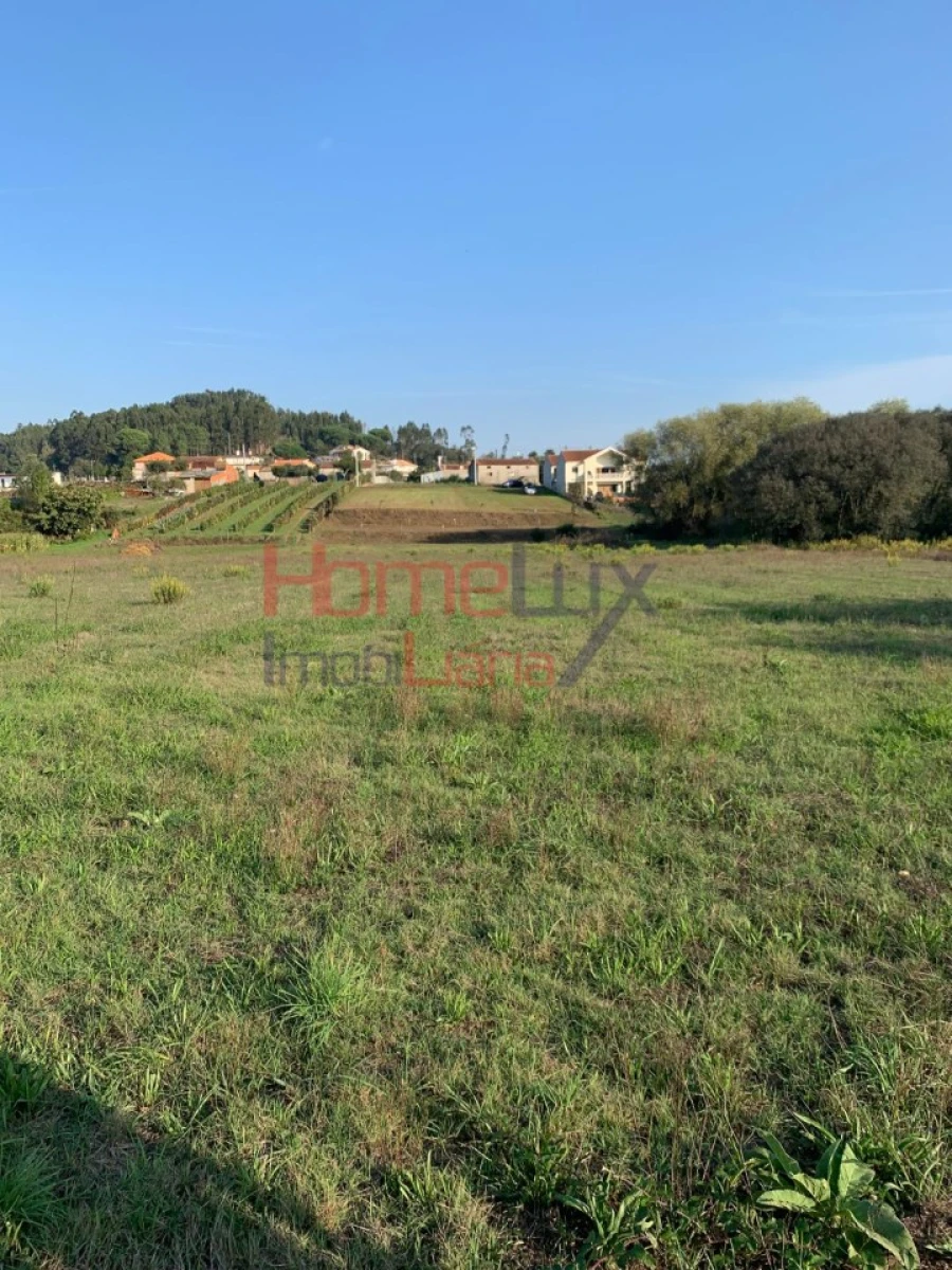 Terreno para Venda em Trofa, Segadães e Lamas do Vouga Foto 6