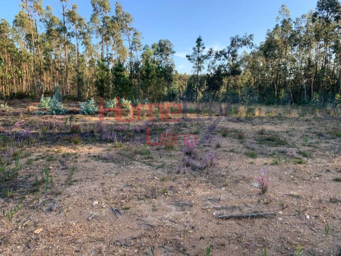 Terreno para Venda em Valongo do Vouga