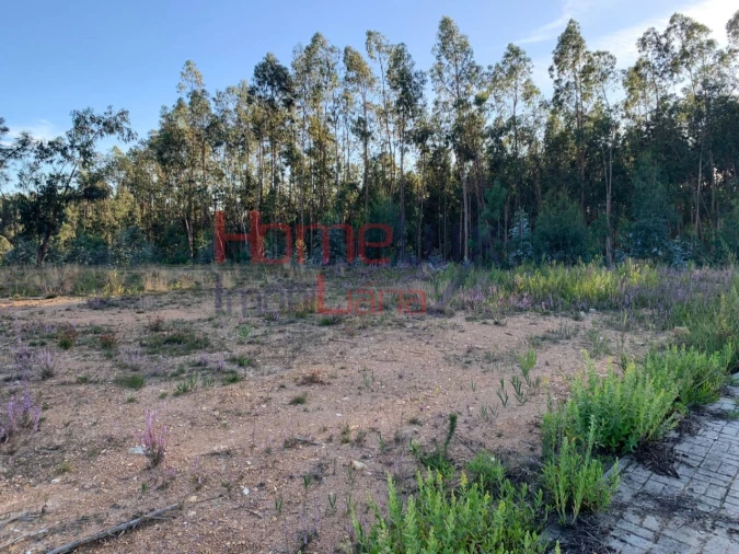 Terreno para Venda em Valongo do Vouga Foto 3