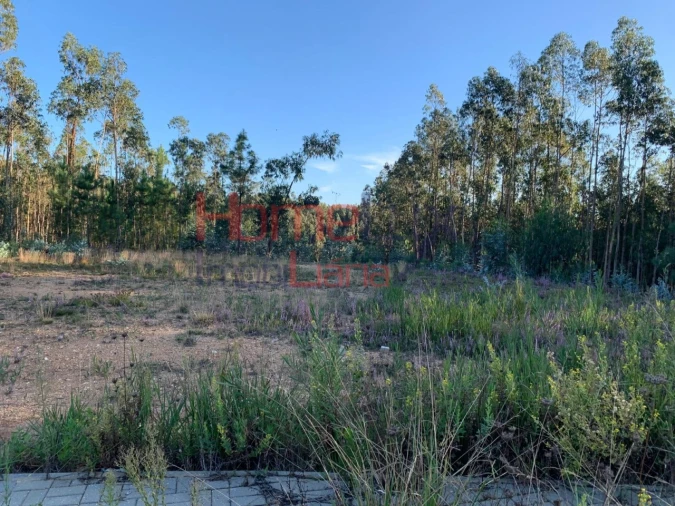 Terreno para Venda em Valongo do Vouga Foto 6