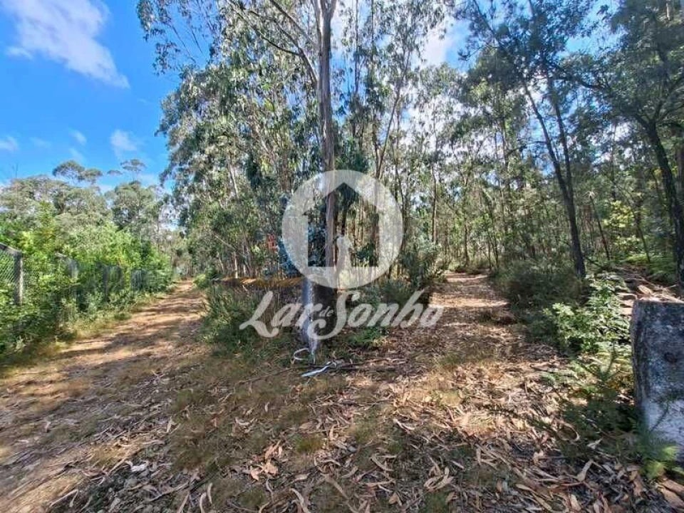 Terreno Agricola ou Rústico para Venda em Fradelos Foto 1