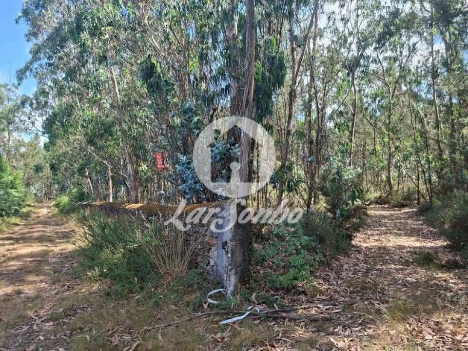 Terreno Agricola ou Rústico para Venda em Fradelos Foto 2