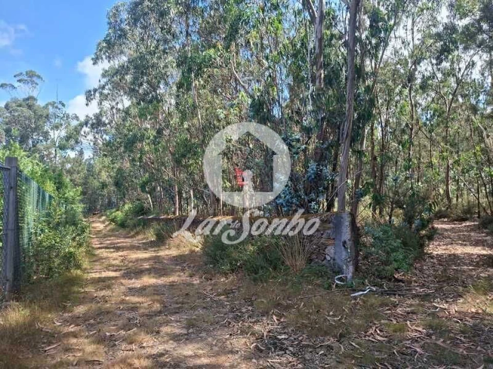 Terreno Agricola ou Rústico para Venda em Fradelos Foto 3