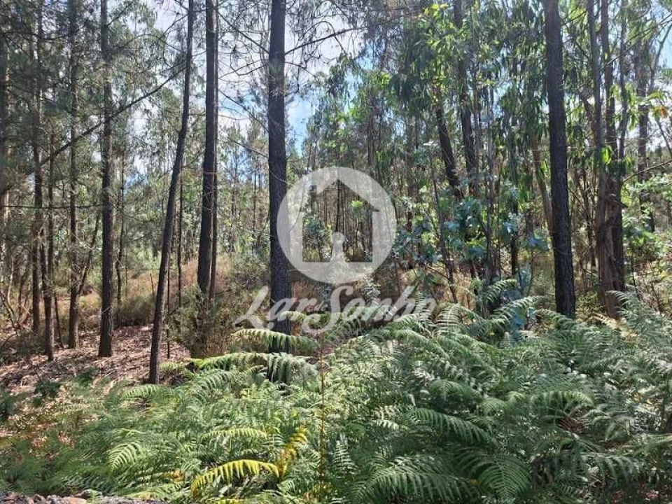 Terreno Agricola ou Rústico para Venda em Fradelos Foto 7