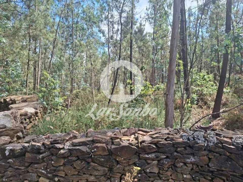 Terreno Agricola ou Rústico para Venda em Fradelos Foto 8