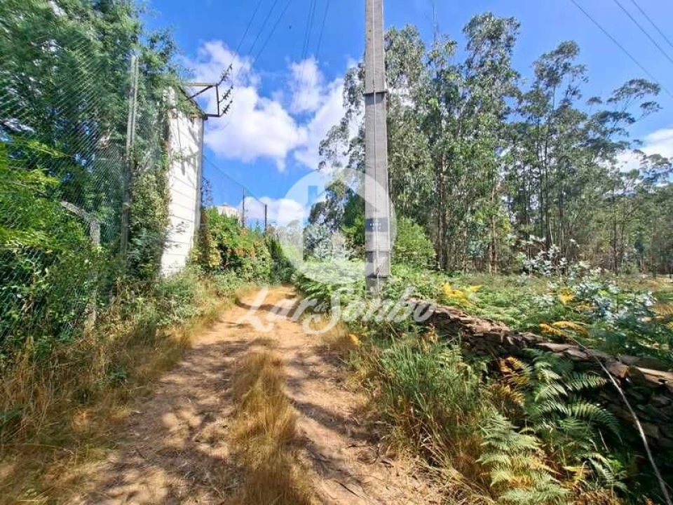 Terreno Agricola ou Rústico para Venda em Fradelos Foto 11