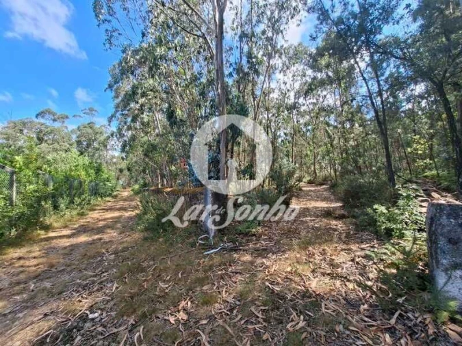 Terreno Agricola ou Rústico para Venda em Fradelos Foto 1