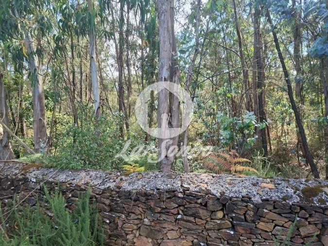 Terreno Agricola ou Rústico para Venda em Fradelos Foto 5