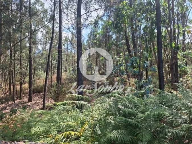 Terreno Agricola ou Rústico para Venda em Fradelos Foto 7