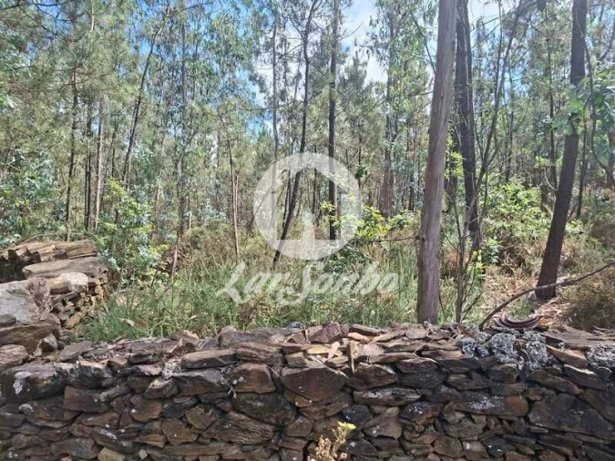 Terreno Agricola ou Rústico para Venda em Fradelos Foto 8