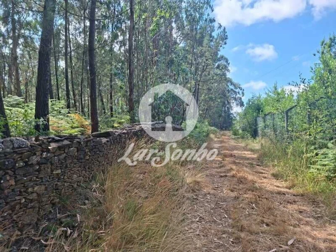 Terreno Agricola ou Rústico para Venda em Fradelos Foto 9