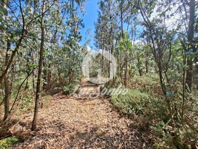 Terreno Agricola ou Rústico para Venda em Fradelos Foto 10