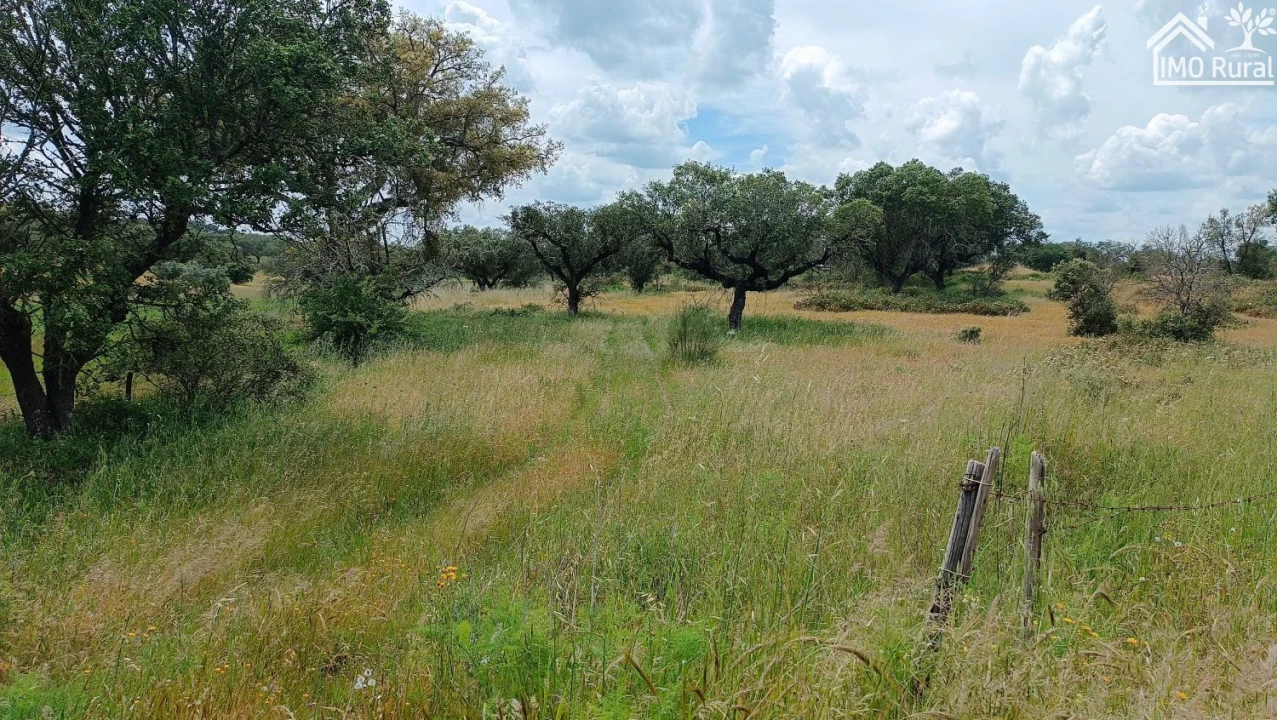Terreno para Venda em Barbacena e Vila Fernando Foto 5