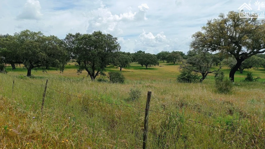 Terreno para Venda em Barbacena e Vila Fernando