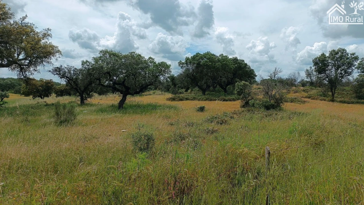 Terreno para Venda em Barbacena e Vila Fernando Foto 6