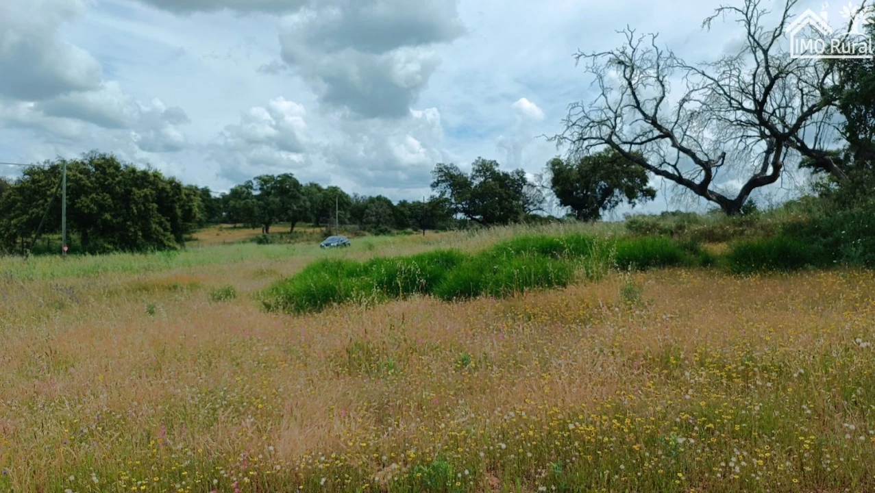 Terreno para Venda em Barbacena e Vila Fernando Foto 19