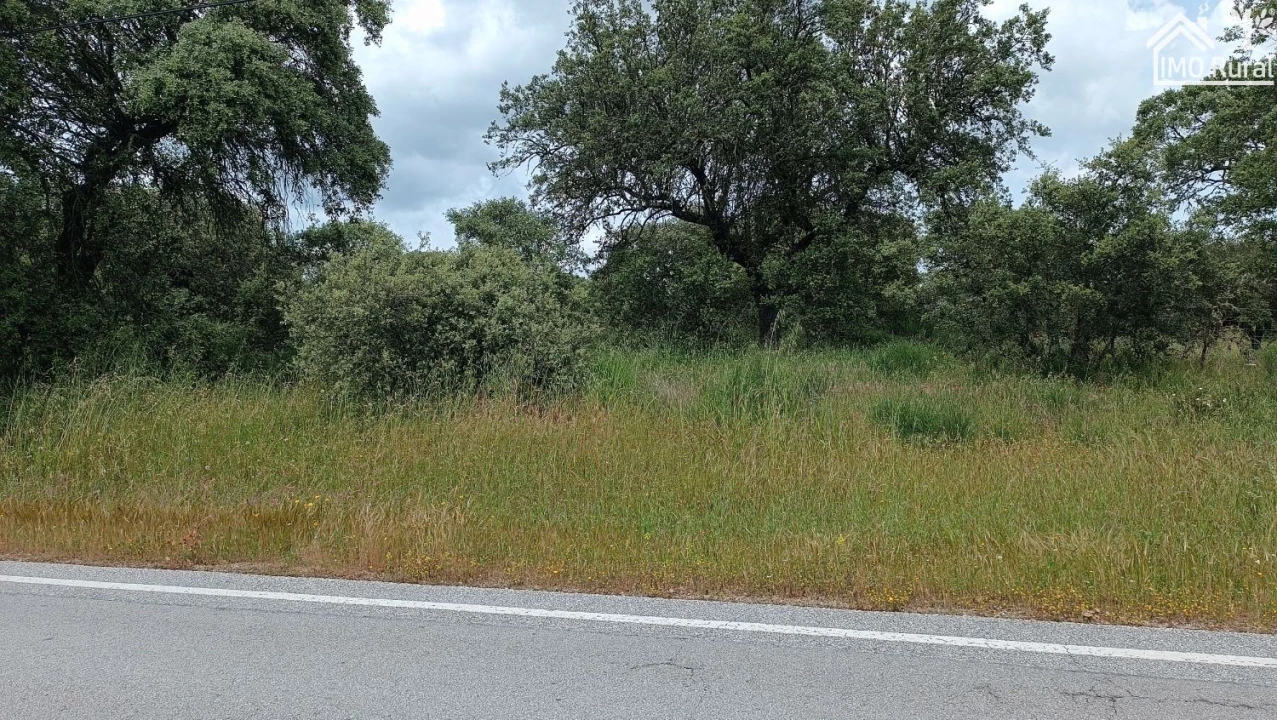 Terreno para Venda em Barbacena e Vila Fernando Foto 3