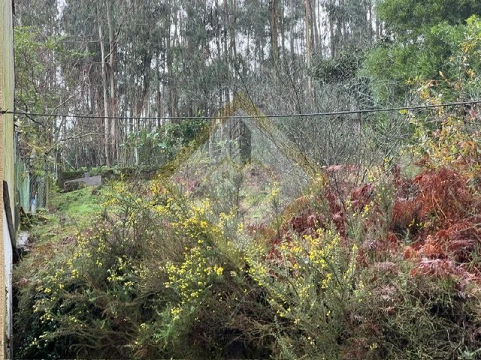 Terreno para Venda em Pedroso e Seixezelo Foto 13