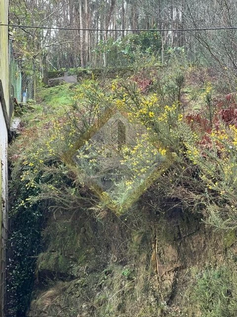 Terreno para Venda em Pedroso e Seixezelo