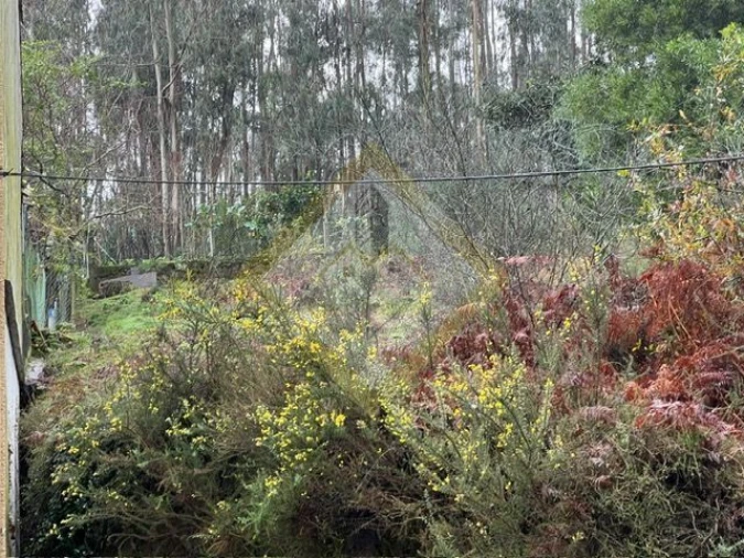 Terreno para Venda em Pedroso e Seixezelo Foto 13