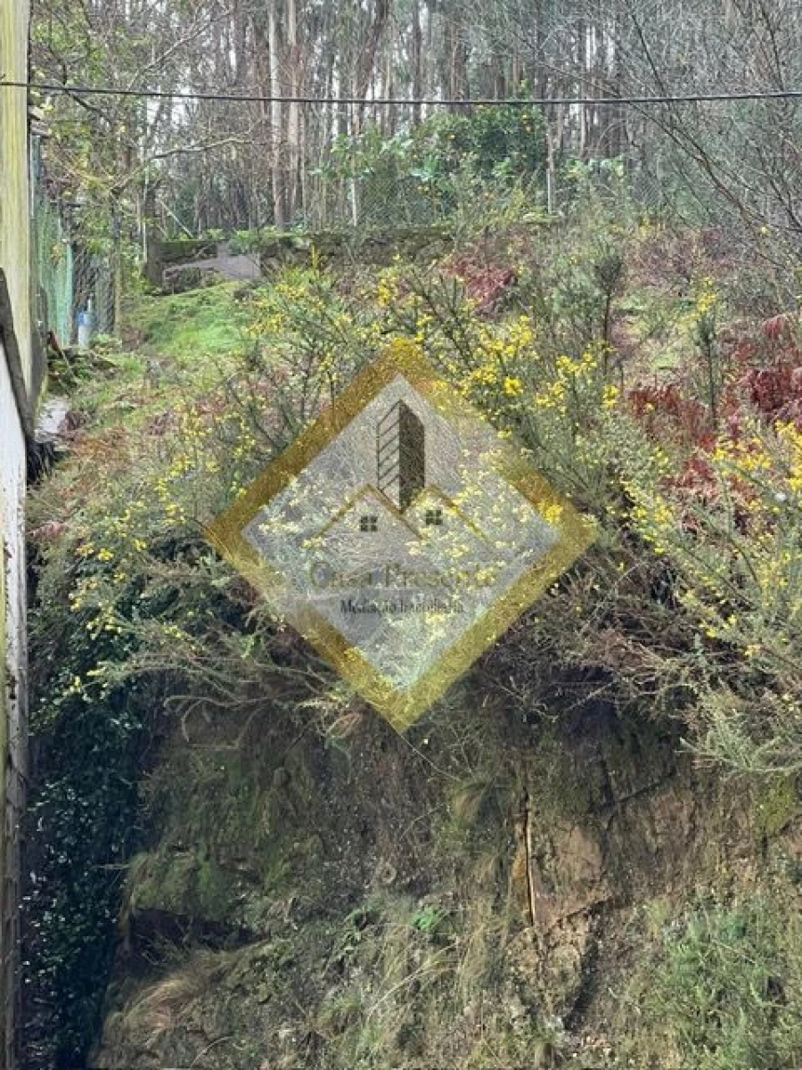 Terreno para Venda em Pedroso e Seixezelo Foto 12
