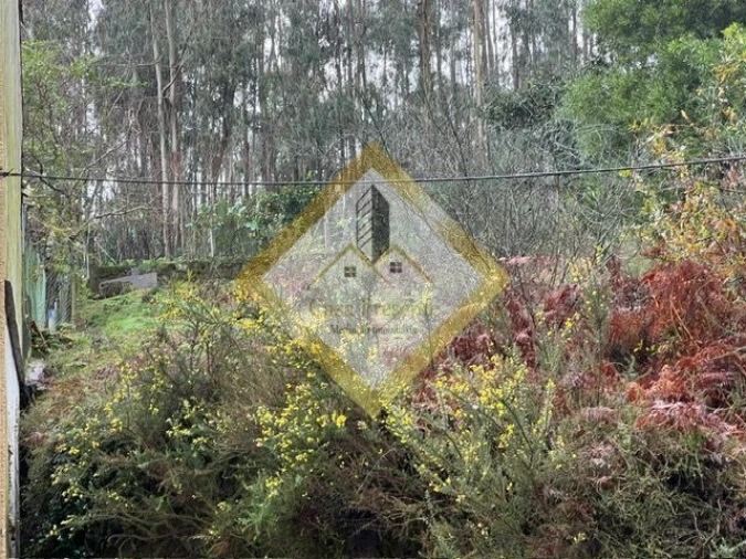 Terreno para Venda em Pedroso e Seixezelo Foto 13
