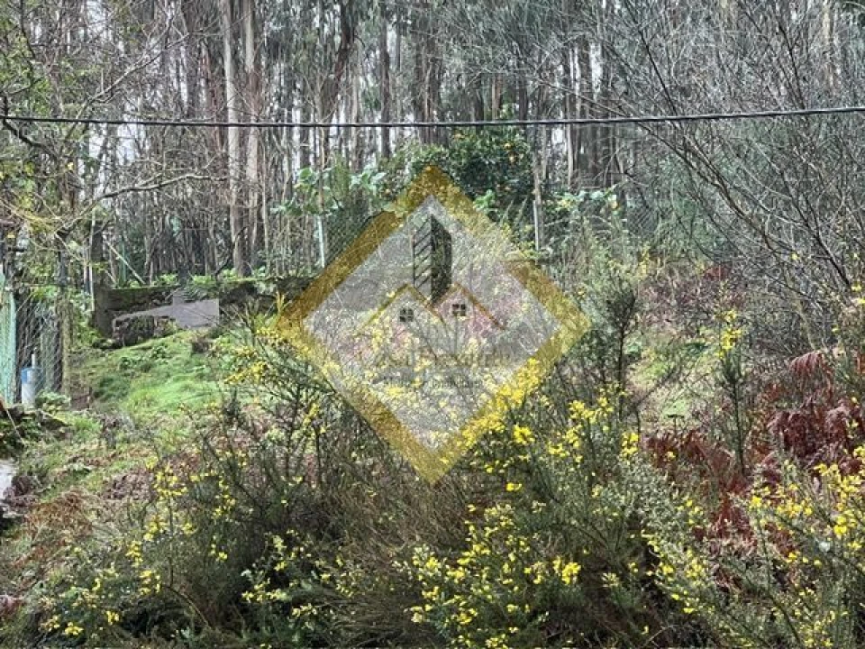 Terreno para Venda em Pedroso e Seixezelo Foto 14