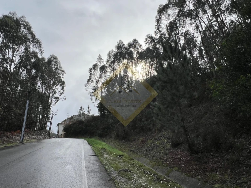 Terreno para Venda em Pedroso e Seixezelo Foto 23