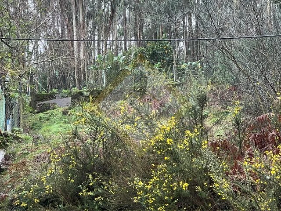 Terreno para Venda em Pedroso e Seixezelo Foto 14