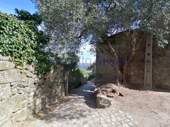 Moradia T2 para Venda em Alpedrinha Foto 16