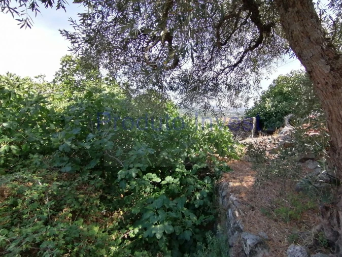 Moradia T2 para Venda em Alpedrinha Foto 10