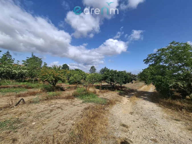 Terreno para Venda em Quinta do Anjo Foto 21