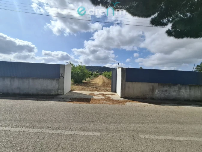 Terreno para Venda em Quinta do Anjo Foto 2