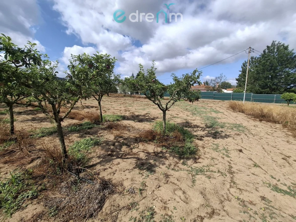 Terreno para Venda em Quinta do Anjo Foto 16