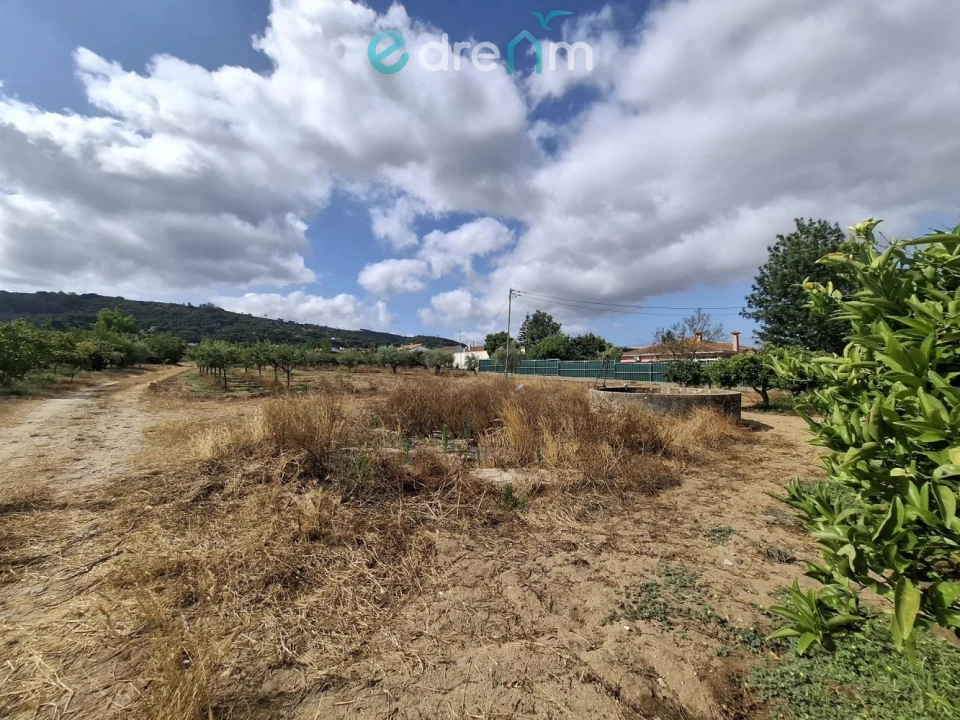 Terreno para Venda em Quinta do Anjo Foto 11