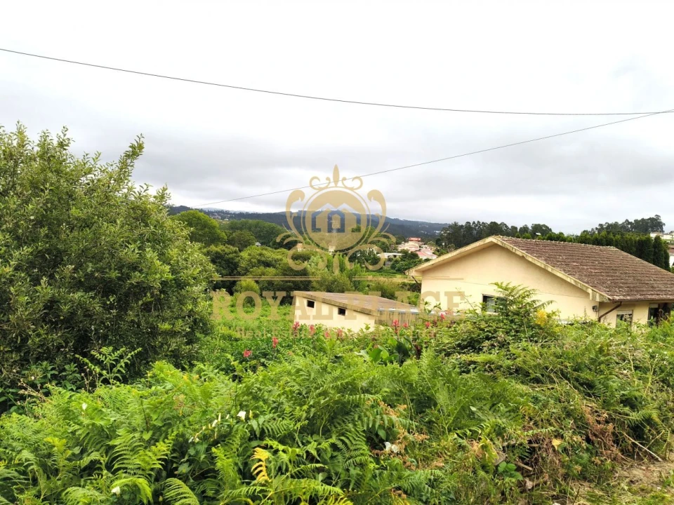 Terreno para Venda em Fiães Foto 2