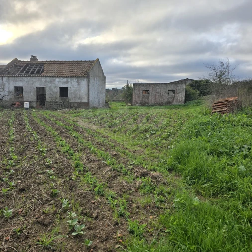 Quinta T2 para Venda em Santiago do Cacém, Santa Cruz e São Bartolomeu da Serra Foto 6
