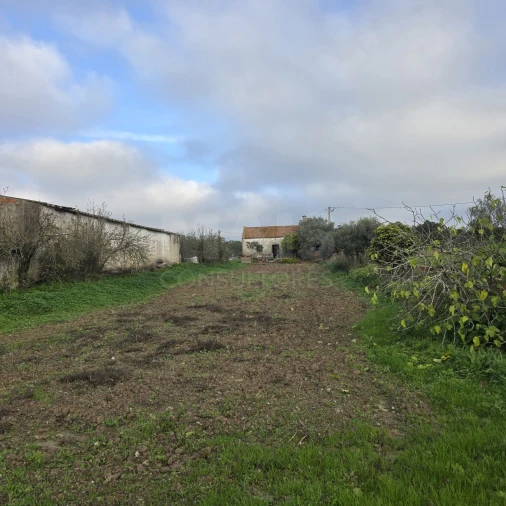 Quinta T2 para Venda em Santiago do Cacém, Santa Cruz e São Bartolomeu da Serra Foto 12