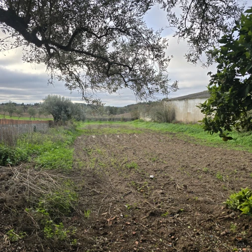 Quinta T2 para Venda em Santiago do Cacém, Santa Cruz e São Bartolomeu da Serra Foto 8