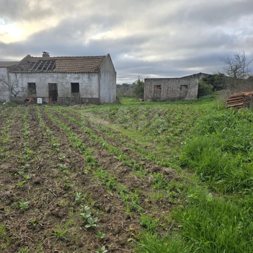 Quinta T2 para Venda em Santiago do Cacém, Santa Cruz e São Bartolomeu da Serra Foto 2