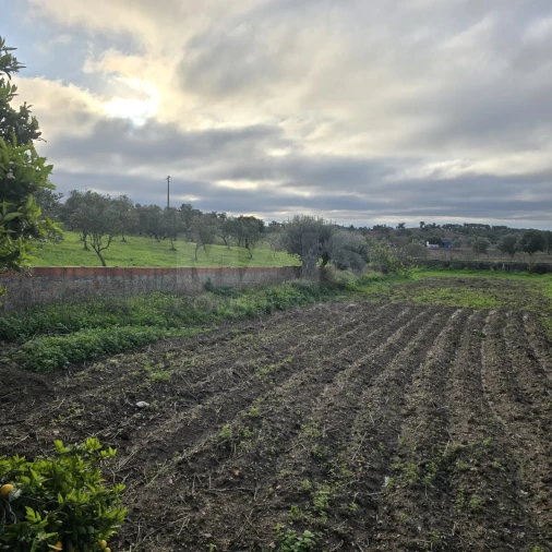 Quinta T2 para Venda em Santiago do Cacém, Santa Cruz e São Bartolomeu da Serra