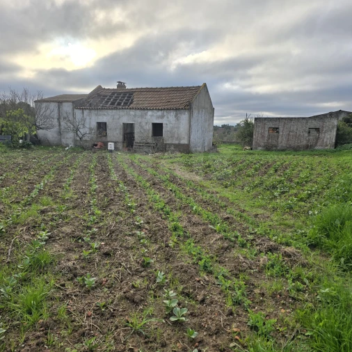Quinta T2 para Venda em Santiago do Cacém, Santa Cruz e São Bartolomeu da Serra Foto 3