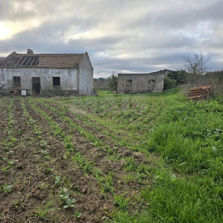 Quinta T2 para Venda em Santiago do Cacém, Santa Cruz e São Bartolomeu da Serra Foto 6