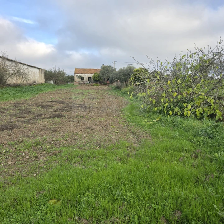 Quinta T2 para Venda em Santiago do Cacém, Santa Cruz e São Bartolomeu da Serra Foto 5