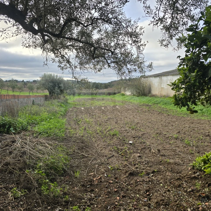 Quinta T2 para Venda em Santiago do Cacém, Santa Cruz e São Bartolomeu da Serra Foto 4