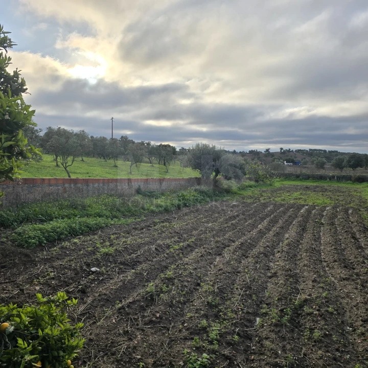 Quinta T2 para Venda em Santiago do Cacém, Santa Cruz e São Bartolomeu da Serra Foto 2