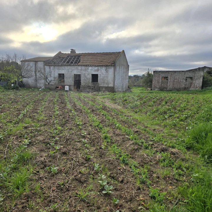 Quinta T2 para Venda em Santiago do Cacém, Santa Cruz e São Bartolomeu da Serra Foto 1